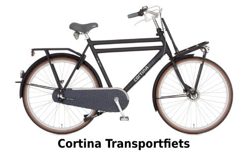 Cortina common dames